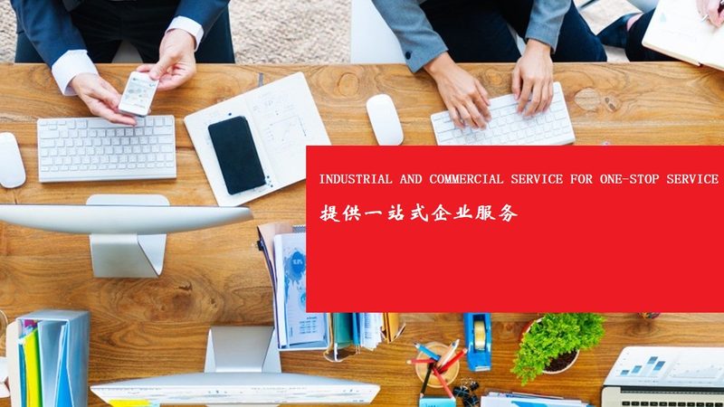 风险分析报告：企业决策的“睛”与“光