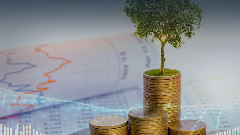上市辅导转板流程：中小企业成长的必经之路